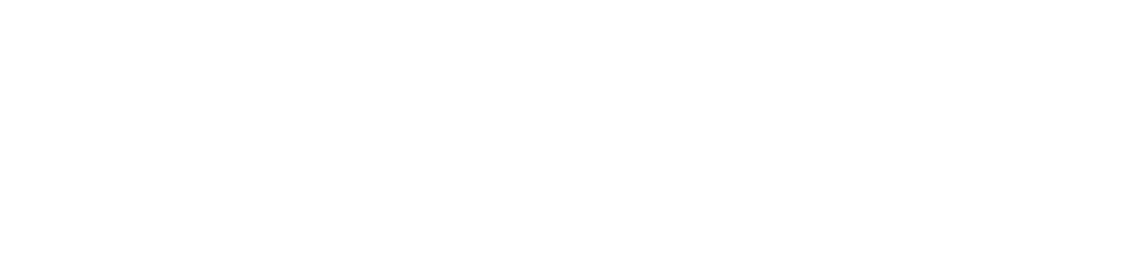 Wiseworks Consulting